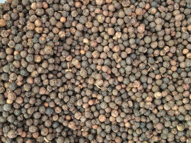 Black Pepper