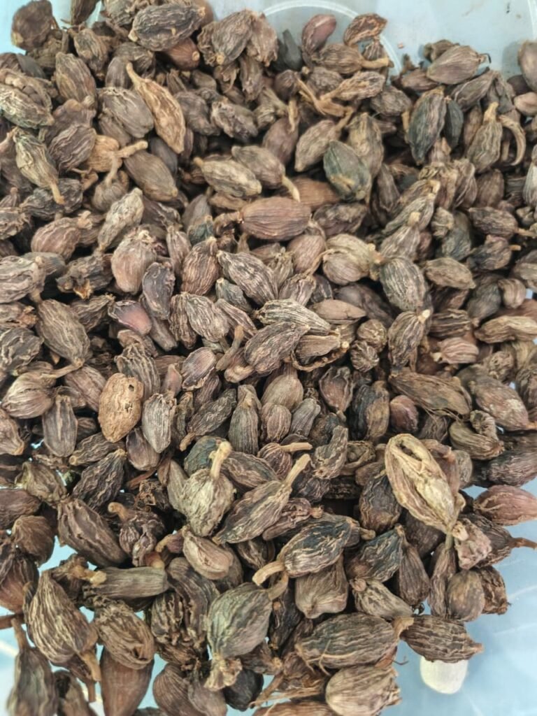 Black Cardamom