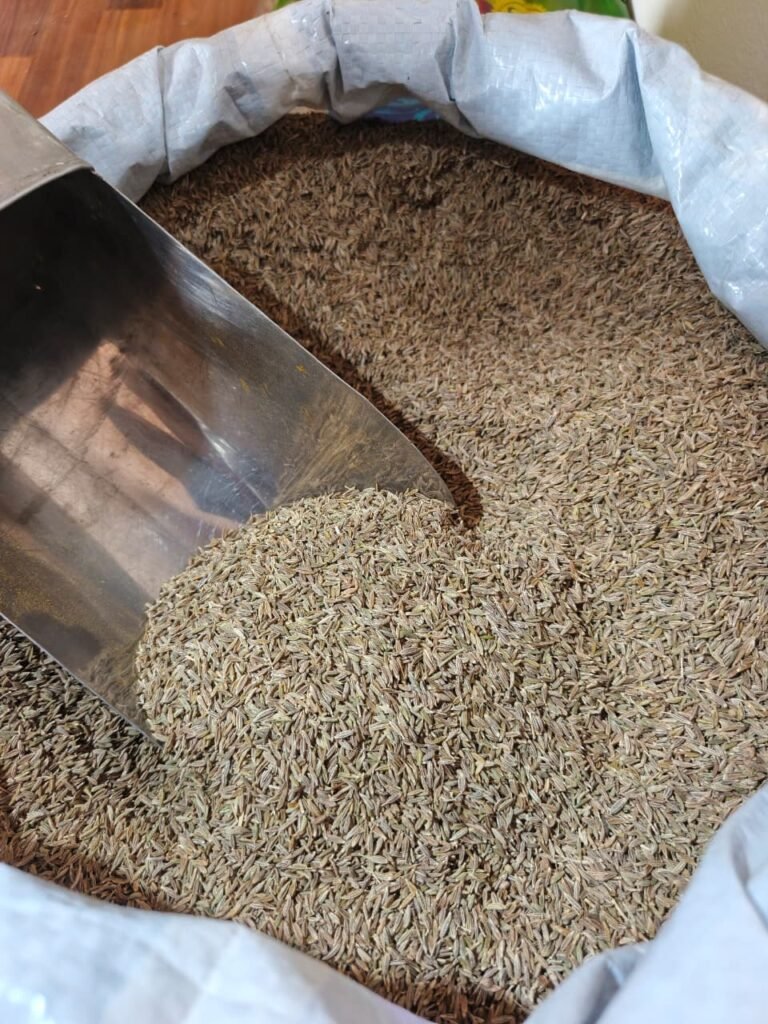 Irani Zeera (Not Indian)